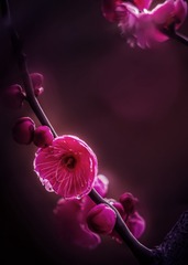 70A8BC67-230B-4819-A8D3-1BCA11762316/L0/001