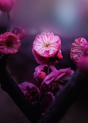 D44308C2-EB62-4777-AF65-AD77E3AD1899/L0/001