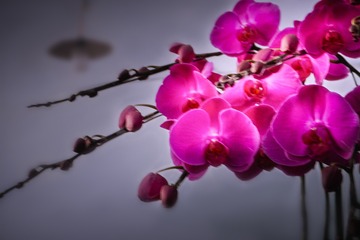 EBF66584-8083-4A1E-8E0D-487ECC474702/L0/001
