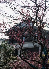 49B8C032-0FA4-4474-AECD-D81F2C380CFE/L0/001