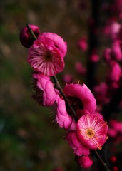 5F906648-BD6B-452A-BEC1-B9342058FCBF/L0/001