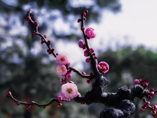 F4664E15-EDF6-477D-BF89-1459C7F6F92A/L0/001