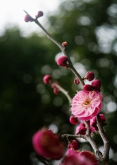 D7A438C7-C5CC-4F93-975B-7F1870C84E99/L0/001