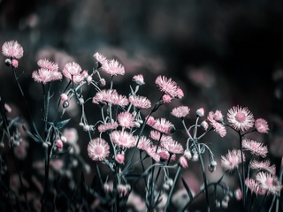 746E6024-0CD3-45E8-B339-4E429C2F48E2/L0/001