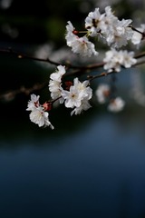 C7591386-54E2-4471-87B5-7239D6BC6052/L0/001