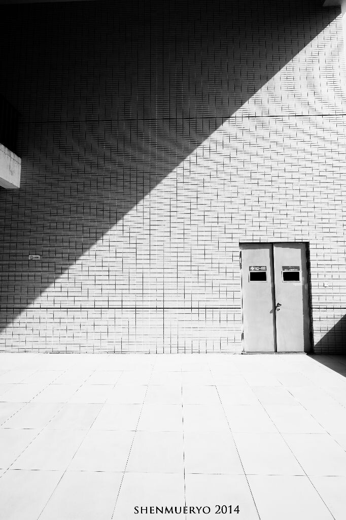 the door