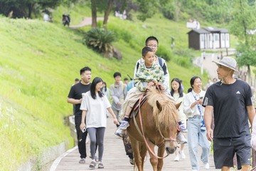 月亮湾20