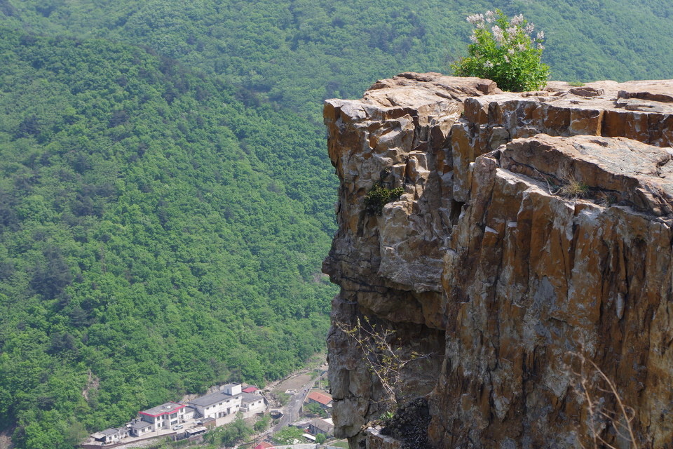 山崖上的 br /> 山崖上的