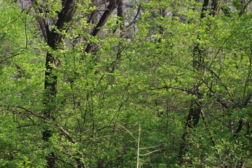 IMGP0116.JPG
