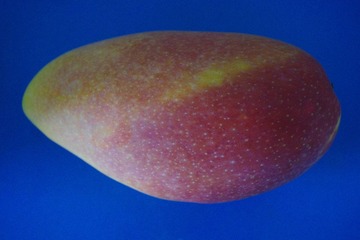 IMGP0150.JPG