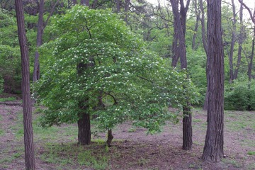 IMGP0154.JPG