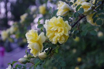 IMGP0192.JPG