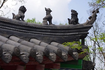 IMGP0258.JPG