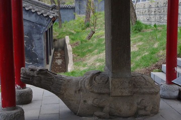 IMGP0254.JPG