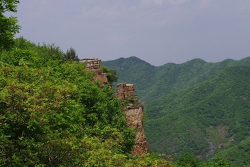 IMGP0307.JPG