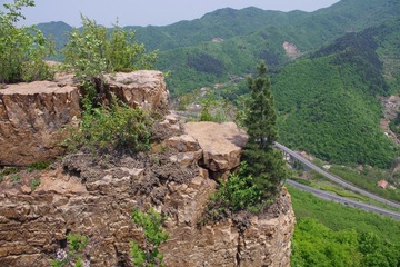 IMGP5141.JPG