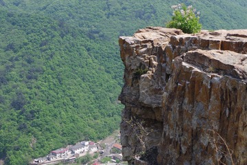 IMGP5176.JPG