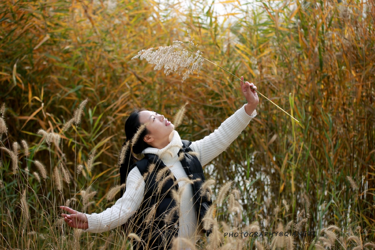 芦苇荡里的美女