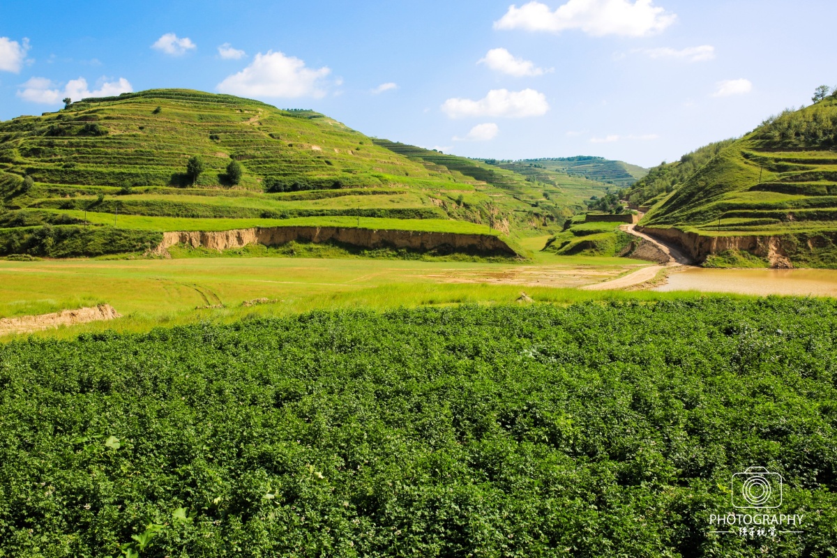 甘肃老家静宁红寺