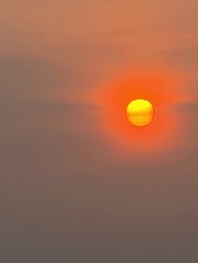 644035E3-E34E-474B-8EA6-86BF1E7FD0CA/L0/001