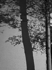 94C35EC5-9069-4AAE-9AB9-509B44F719F2/L0/001