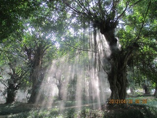 IMG_0266.JPG