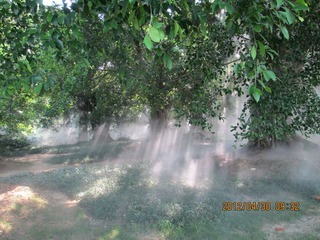 IMG_0272.JPG