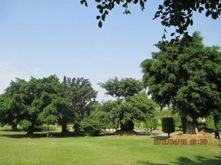 IMG_0277.JPG