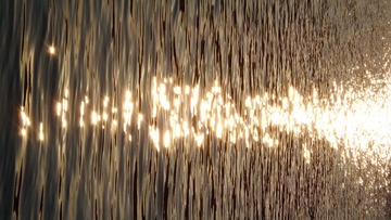 1000003254