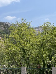 8E328432-7AAA-4046-84FB-B00D1E878D38/L0/001