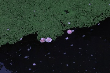 201020DC-D07C-4DAA-920B-DDC7BA3D9405/L0/001