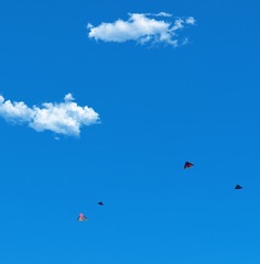 2163266F-2A09-47C6-9372-ED9495F38230/L0/001