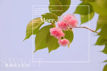 DEAE3E52-0AD2-4EE4-88EF-09F6EB1B65C9/L0/001
