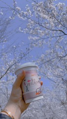 72527EED-BDDB-4335-B3C7-067D8A41CE02/L0/001
