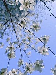 89C91084-EF7D-41C0-A834-98DC7854EC31/L0/001