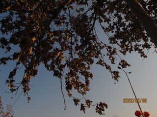 F552F83A-17D1-4B49-B781-805C5FC03166/L0/001