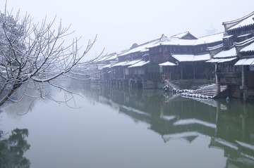 DSC01375.jpg