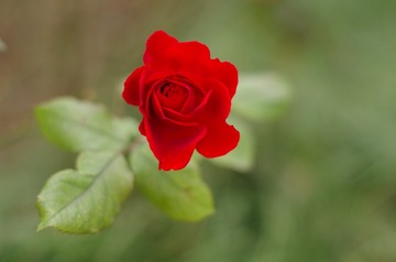 DD884BC5-20D6-4177-A003-156EE29776BB/L0/001
