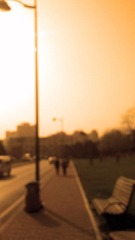 IMG_20120502_163753.jpg