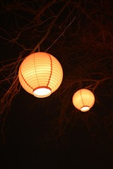 779ECE34-1CA8-4A25-823B-952E79747AC6/L0/001