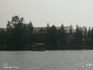 464009