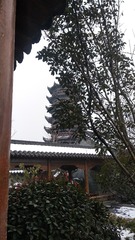 2462663