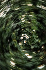 82B09360-512E-4D71-A1F1-B3F3C4258762/L0/001