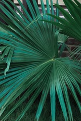 B273C5DA-86F0-4CC0-8310-F1D2FDEB7B0F/L0/001
