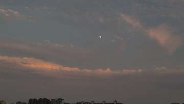 1000220717