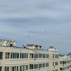 1000067901