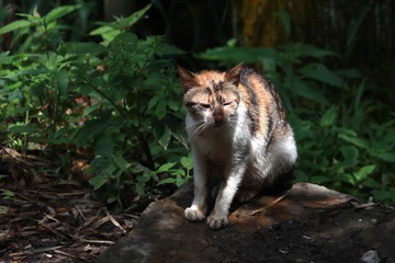 IMG_9017.jpg