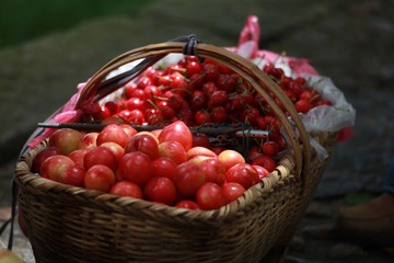 IMG_9232.JPG
