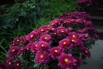 IMG_2214.JPG
