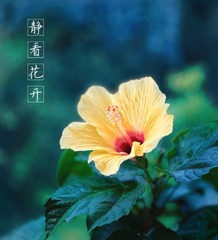 123C261D-D059-434F-A375-33A605AEB0AB/L0/001